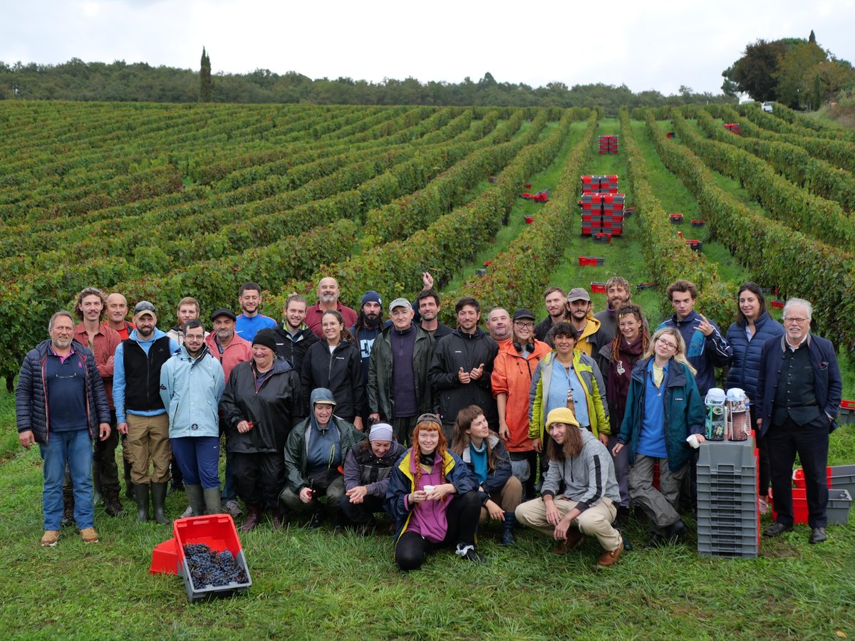 Les vendanges au Domaine des Bernards